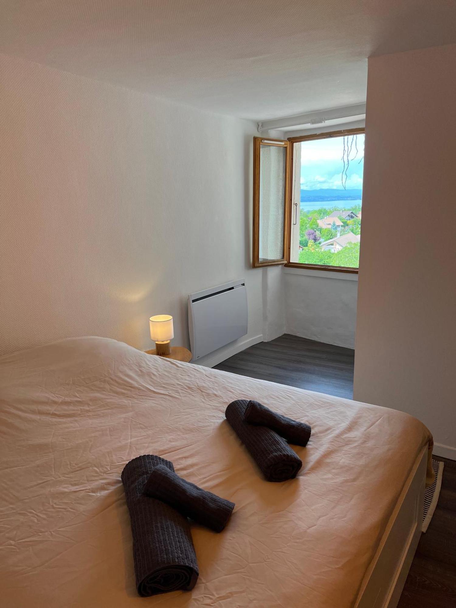 Charmante Maison De Village A 10Min De Thonon-Les-Bains Allinges Buitenkant foto